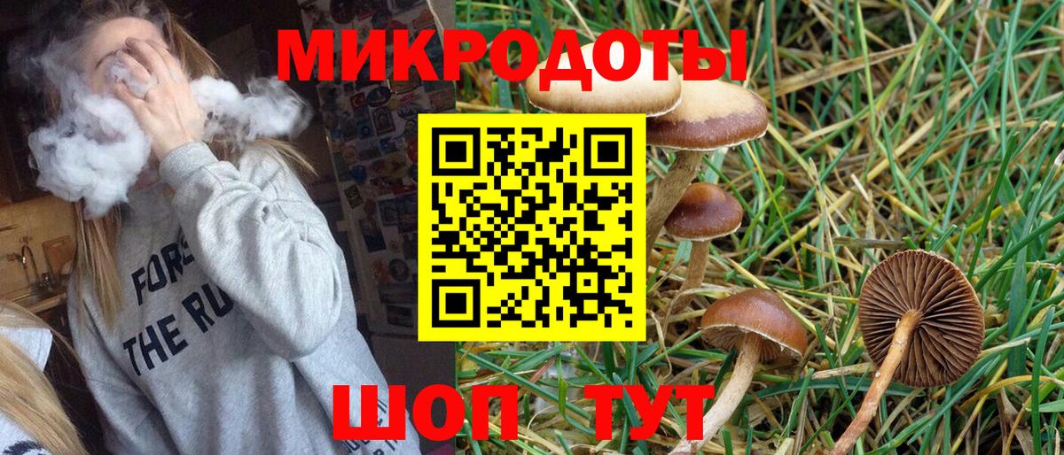 Псилоцибиновые грибы прущие грибы Ульяновск