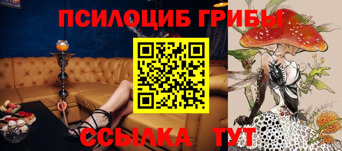 Ульяновск  Галлюциногенные грибы ЛСД  Вход с VPN 