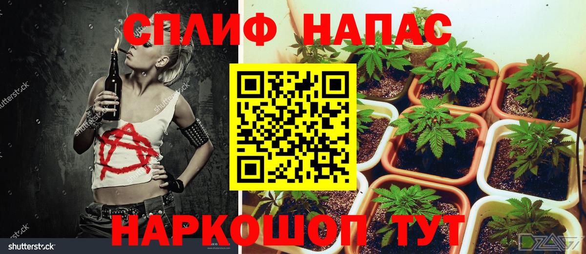 Конопля VHQ  Шишки марихуана THC 21%  Ульяновск  Вход с VPN  Бошки Шишки AK-47 